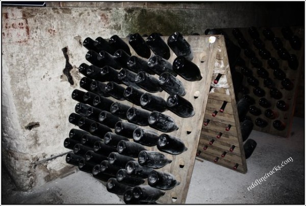 The 2024 riddling rack